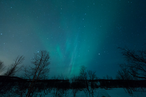 Northern Lights In Sky With Silhouette Trees Stock Photo Northern Lights In Sky With Silhouette Trees Stock Photo