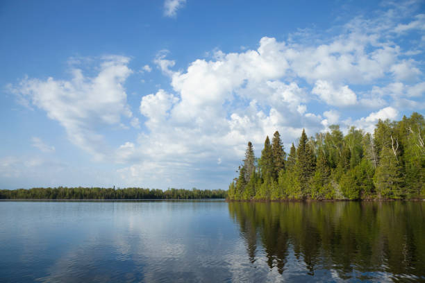 Northern Minnesota lake with trees along the shore and bright clouds on a calm morning Northern Minnesota lake with pine trees along the shore and bright clouds on a calm morning lakeshore stock pictures, royalty-free photos & images