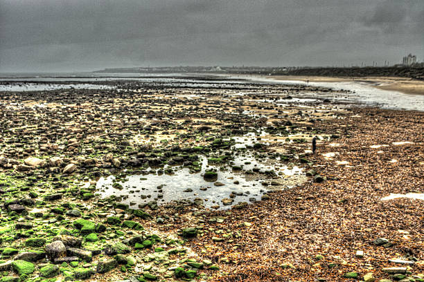 Northumberland coast The rocky shoreline off the coast of Whitley Bay with the North East coastline in the background in the distance. The image has been enhanced with 3 bracketed images combined in HDR software. north pier stock pictures, royalty-free photos & images