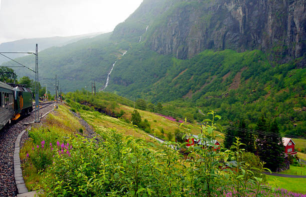 Norway railway. stock photo