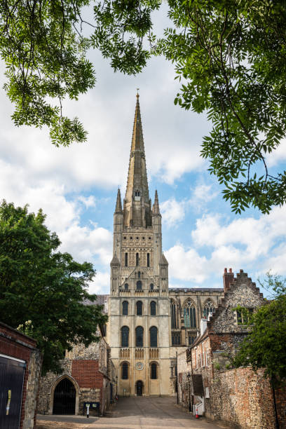 norwich cathedral in east england - norwich imagens e fotografias de stock