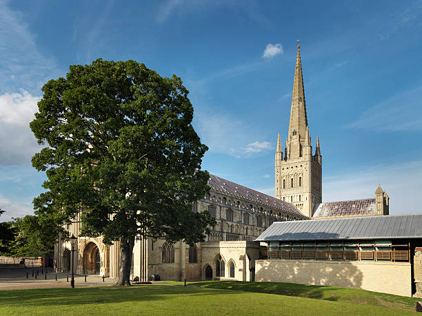 norwich catedral, inglaterra-imagem estoque - norwich imagens e fotografias de stock