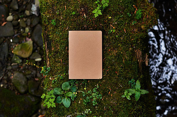 Notebook on wood A photograph of a blank artist's sketch pad on wood moss photos stock pictures, royalty-free photos & images