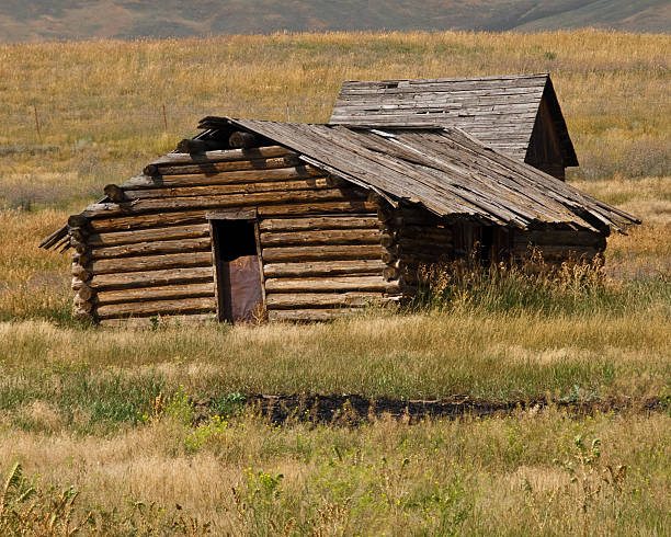 Weathered Old Log Cabin Nothing speaks of rural America like an old cabin. Sadly, many of these wooden relics have fallen into disrepair or simply disappeared. The few still remaining remind us of a time when small farms produced most of the food we eat. This classic weathered log cabin was photographed in Jens, Powell County, Montana, USA. jeff goulden montana stock pictures, royalty-free photos & images
