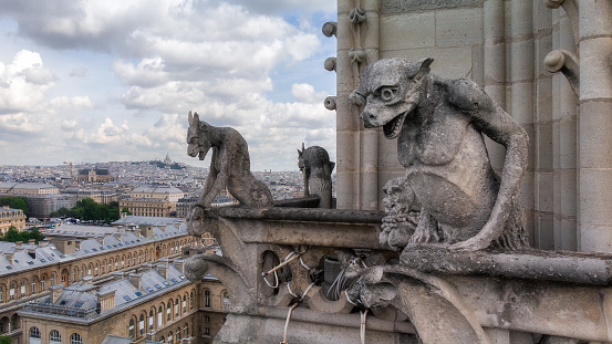Gargoyle figur on Notre Dame looking towards Eiffel Tower