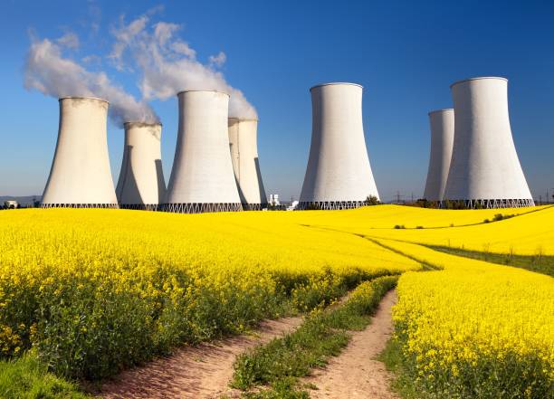 Nuclear power plant, cooling tower, field of rapeseed stock photo