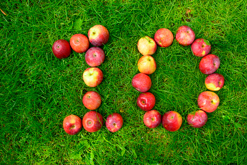number ten is made of fresh ripe red and yellow apples on green grass