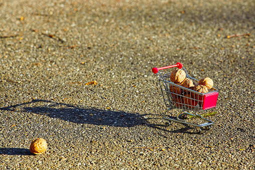 Nuts in a toy shopping cart