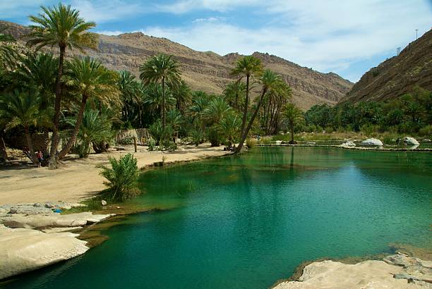 oasis in Oman watering hole in the desert in Oman desert oasis stock pictures, royalty-free photos & images