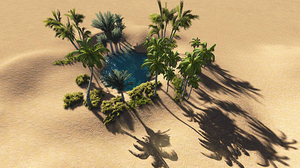 Oasis Oasis in the desert made i 3d software desert oasis stock pictures, royalty-free photos & images