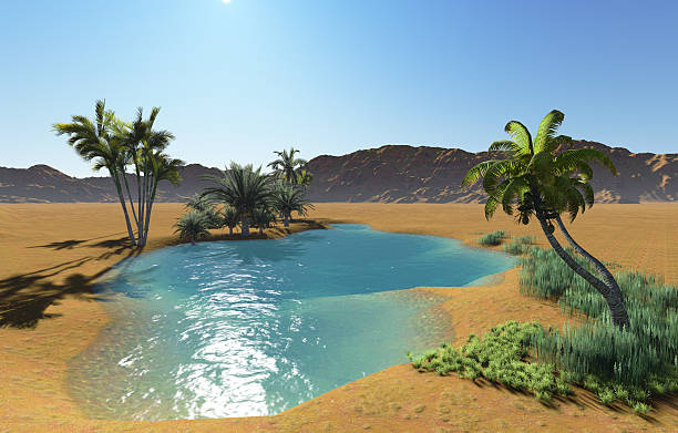 Oasis Oasis in the desert made in 3d software desert oasis stock pictures, royalty-free photos & images