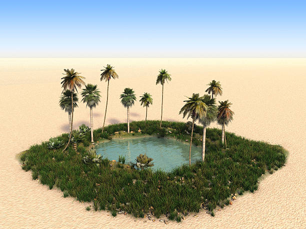 Oasis with palm trees in the middle of desert stock photo