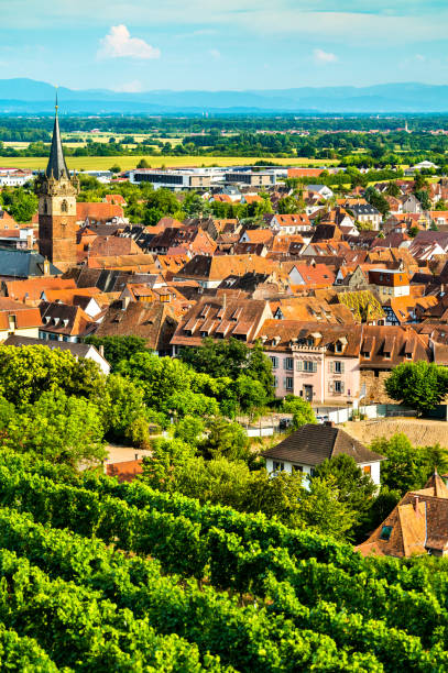 Obernai town with vineyards in Bas-Rhin, France Town of Obernai with vineyards in Bas-Rhin, France bas rhin stock pictures, royalty-free photos & images