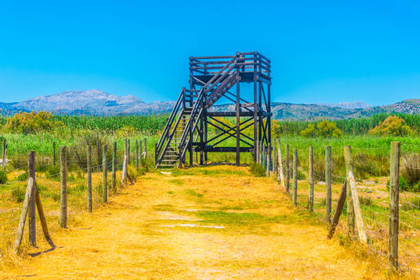 Observation tower at Albufera national park at Mallorca, Spain Observation tower at Albufera national park at Mallorca, Spain albufera stock pictures, royalty-free photos & images