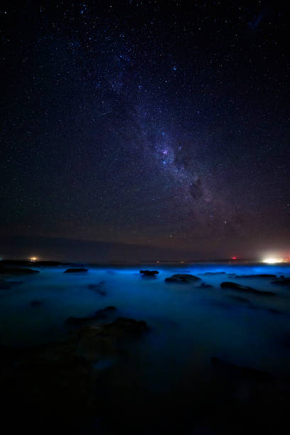 Ocean glowing brilliant blue with biioluminescent algae The ocean glowing a brilliant iridescent blue and glittering sparkly light from bioluminescent algae.  A magical phenomenon.  Twinkling stars overhead made a magical evening bioluminescence stock pictures, royalty-free photos & images