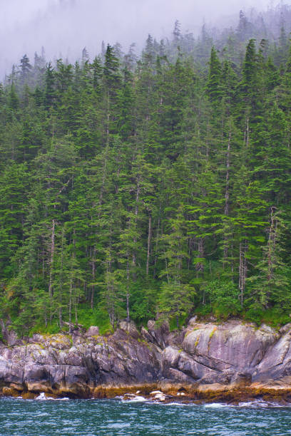 Ocean, trees and pine trees over mountains on the Seward shore in the Gulf of Alaska. Landscape, seascape, portrait, fine art. Alaska: July 28, 2018 stock photo