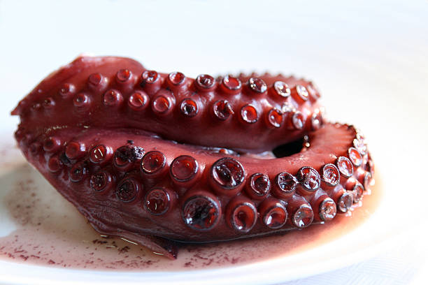 octopus in a plate part of octopus in a white plate animal leg stock pictures, royalty-free photos & images