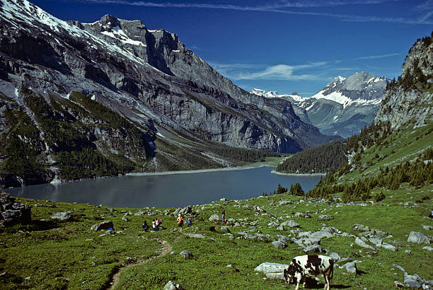 Oeschinensee from Blumlisalp Oeschinensee is an alpine lake in the Bernese Alps of Switzerland. It is a place where dairy cows graze the wildflower filled meadows and hikers roam freely on the trails. The lake is fed through a series of mountain streams and drains underground. The lake is usually frozen from December to May when ice skating may be possible. In 2007 the lake became part of the Jungfrau-Aletsch-Bietschhorn UNESCO World Heritage Site. The lake was photographed from Blumlisalp near Kandersteg, Bern Canton, Switzerland. jeff goulden switzerland stock pictures, royalty-free photos & images