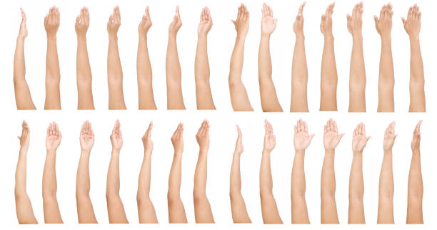 grupo de gestos de mano asiática femenina aislados sobre el fondo blanco. - brazo fotografías e imágenes de stock