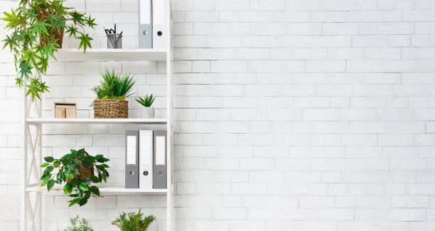 Office bookcase with plants and folders over wall Office bookcase with plants and folders over white wall, empty space bookshelf stock pictures, royalty-free photos & images