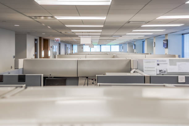 Office Office Cubicles office cubicle stock pictures, royalty-free photos & images