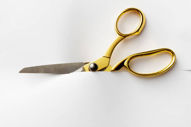 Office: Scissors Cutting Through Paper Office: Scissors Cutting Through Paper scissors stock pictures, royalty-free photos & images
