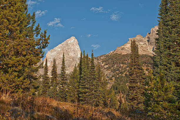 Cloudveil Dome and Forest Often overshadowed by Yellowstone National Park, its larger neighbor to the north, Jackson Hole and the Snake River Valley is a land of vast scenic beauty. What it lacks in geysers and hot springs, it more than makes up for in the rugged Teton Mountain Range. The Teton's many canyons lead to alpine meadows, cirques and towering peaks. It was this rugged range that became Wyoming's second national park in 1929. In 1950 the park boundaries were expanded to include much of the Snake River Valley. This picture of Cloudveil Dome was photographed from the Garnet Canyon Trail in Grand Teton National Park, Wyoming, USA. jeff goulden grand teton national park stock pictures, royalty-free photos & images