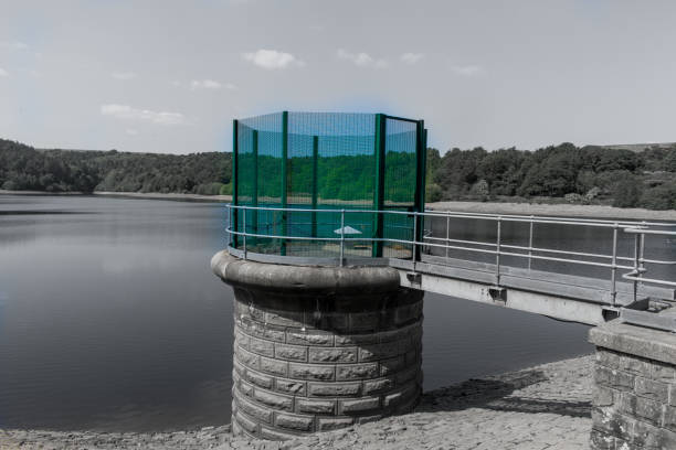 128 kalem stock photos pictures royalty free images istock