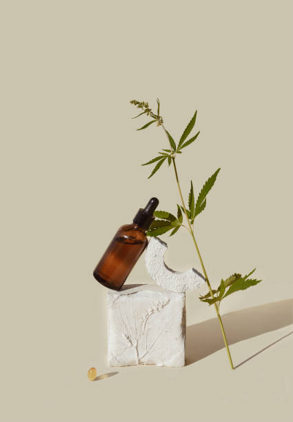 CBD oil in brown bottle with dropper, cannabis branch, hemp on podium stock photo