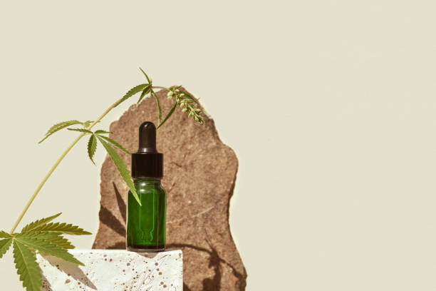 CBD oil in glass bottle with dropper and cannabis branch, hemp on podium Beige background stock photo