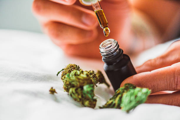 cbd-olie – medisch gebruik van marihuana - marihuana gedroogde cannabis stockfoto's en -beelden