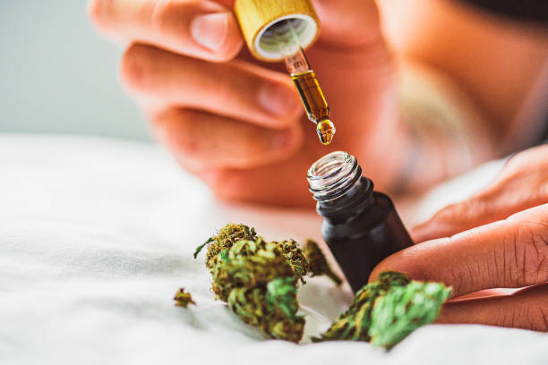 cbd-olie – medisch gebruik van marihuana - marihuana gedroogde cannabis stockfoto's en -beelden