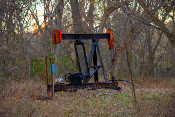 Oil Well Pump Jack in the Woods Black and red oil well pump jack in the woods pumping crude thomas wells stock pictures, royalty-free photos & images