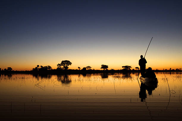 Okavango floating stock photo