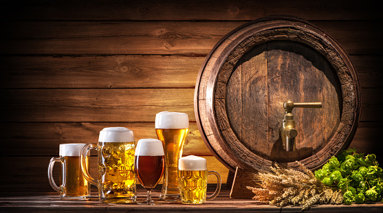 Oktoberfest beer barrel and beer glasses with wheat and hops on wooden table