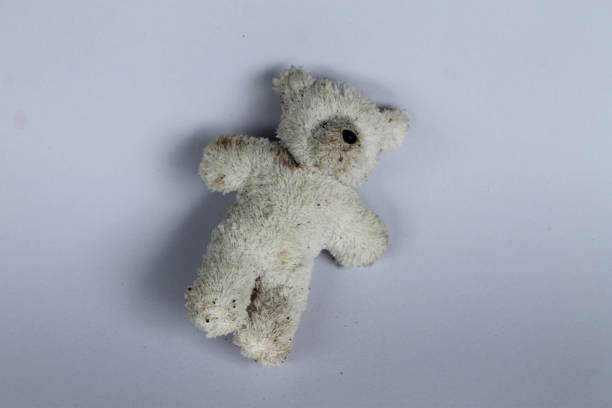 Old and dirty white bear toy on white background. Old and dirty white bear toy on white background. broken doll 1 stock pictures, royalty-free photos & images