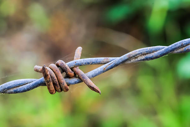 Old barbed wire rusty stock photo