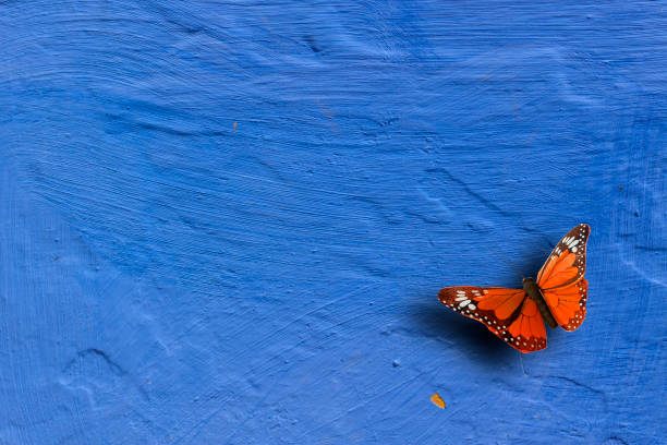 Old Blue Painting With a Butterfly stock photo