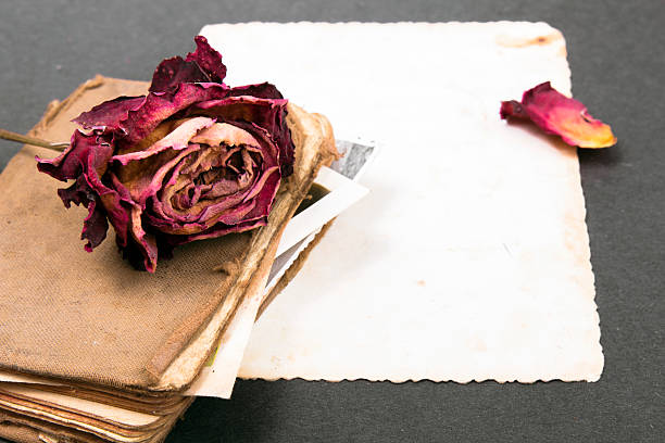 old book, empty photograph and dried rose old book, empty photograph and dried rose as a memories metaphor romance book cover stock pictures, royalty-free photos & images