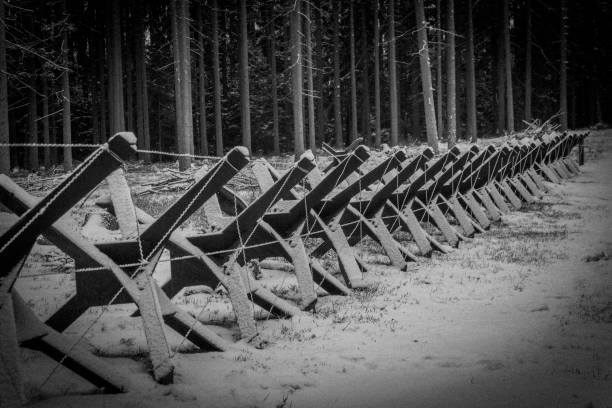 Old border barrier in forest black and white view stock photo