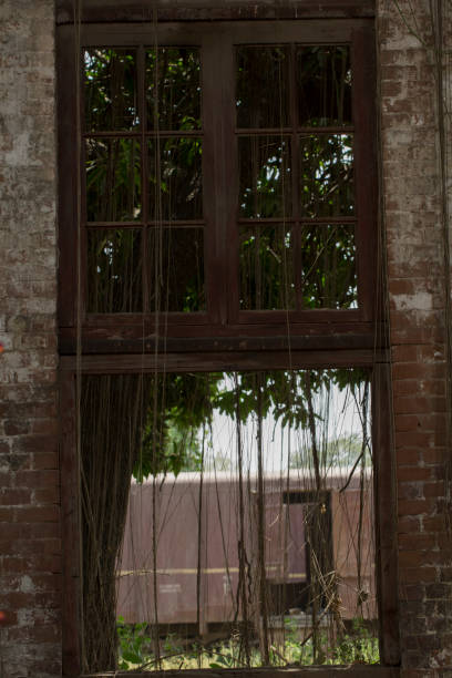 Old broken window with green bushes outside and a vintage train stock photo