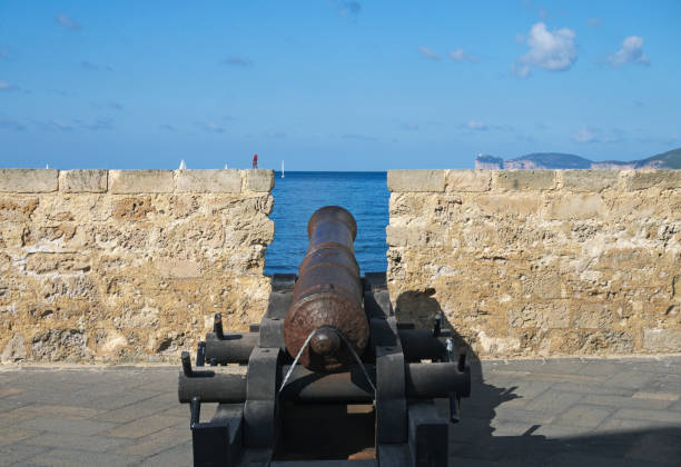 old cannon stock photo