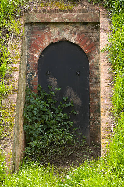 Old cellar door stock photo