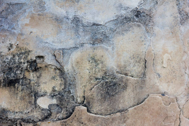 Old cracked wall with whitewash and black mold stock photo