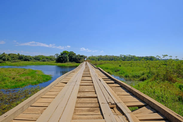 Old damaged wooden bridge on the transpantaneira dirt road with Pantanal wetland, Porto Jofre, Mato Grosso, Brazil stock photo