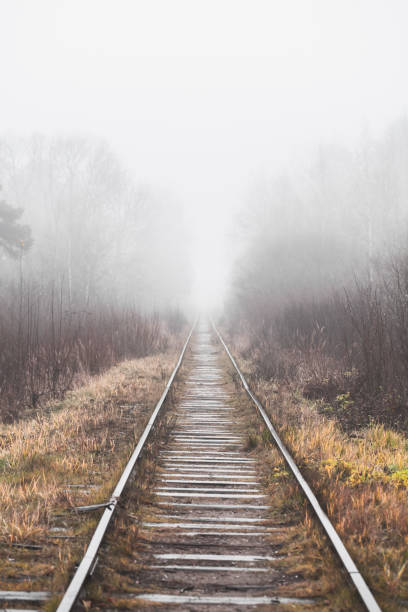 Old empty railway goes through a foggy forest stock photo