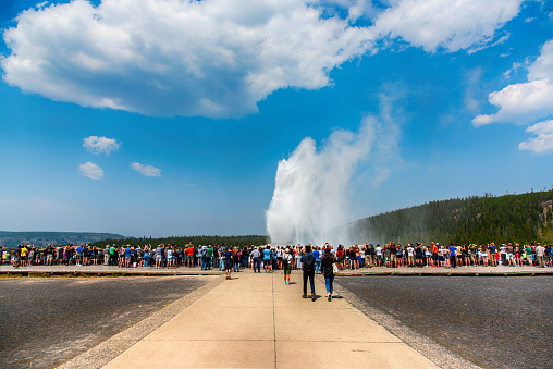 Yellowstone National Park, United States - August 16, 2018:  Tourists crowded in front of Old Faithful geyser located within Yellowstone National Park, Wyoming, USA