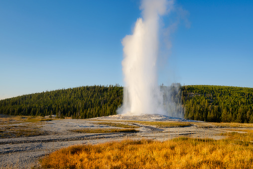 Hot spring explosion. Old Faithful Geyser, Yellowstone National Park, Wyoming, USA