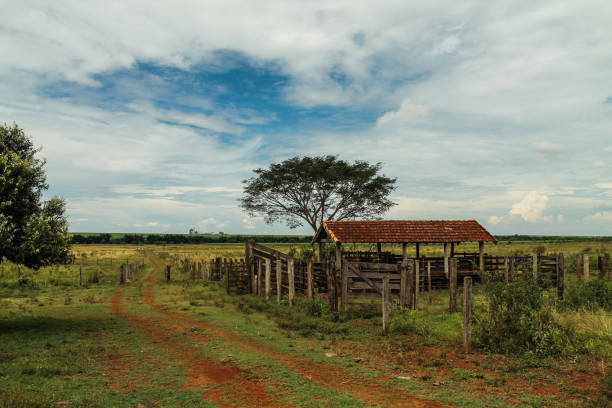 Old farm in Brazil stock photo