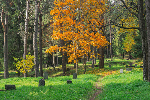 Old finnish cemetery at autumn day. Sortavala. Russia.